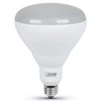 FEI-BR40DM/927CA BULB LED 65W