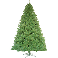 6FT SHEARED NOBEL FIR