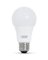 BULB LED ND A19 5K 120V 60W