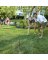 HORSESHOES SET STARTER PLAY