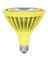 PAR38/Y/LEDG5 BULB LED YELLOW