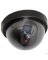 CAMERA SECURITY FAKE RED LIGHT