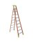 LADDER TYPE 1A F/G FXS1510 10'