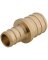 COUPLING PEX 1/2X3/4 IN