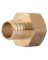 ADAPTER PEX RT LF FNPT 1X1IN