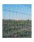 0214-5HINGEJOINT FIELD FENCE