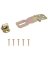 HASP SAFETY SAT BRS 2-1/2X1IN