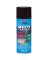 PAINT SPRY MP GLO RCH BRN 12OZ