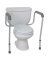 Toilet Safety Rail