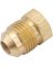 PLUG FLARE BRASS 3/8 IN