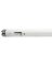 Sylvania 21656 Fluorescent Bulb, 15 W, T8 Lamp, Medium Lamp Base, 810