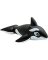 INT-58561EP FLOAT WHALE 76X47