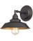 WES-63448 FIXTURE WALL ORB LIGHT