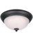 FIXTURE CEIL FLUSH MNT LED ORB