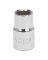 SOCKET STD 1/2INX12PT 1/2DR