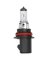 BASIC HEADLIGHT BULB 9007