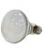 BULB 15103 45W BR30 REFLECTOR FL