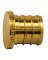 PLUG PEX BRASS 1/2IN
