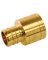 PEX ADAPT FEM SWT BRASS 1/2IN
