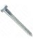 BOLT LAG HEX ZINC 1/4X2-1/2