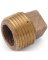 PLUG CORED BRASS 1/2 IN