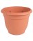 Pot 8" Terra Cotta Self-watering