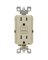 15 AMP GFCI IV OUTLET