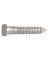 3/8"X2"     LAG BOLTS