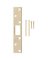 SECURITY STRIKE 1-1/8X6 BRASS