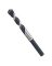 HAMMER DRILL BIT BLUE 1X10X12