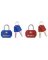 MLK-4681TBLR LUGGAGE LOCK 2PK