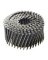 PRO-0616670 NAIL FRMG COIL 131X3