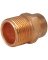 1/2" COPPER MALE ADAPTER