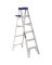 LOU-AS2106 6FT AL STEP LADDER T2