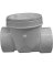 Valve Pvc Backwater 3in