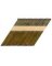 2X113 SM PCH 2M #31