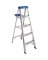 LADDER STEP AL TYP1 250LB 5FT