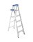 WER-366 6FT AL STEP LADDER T1