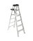 LADDER STEP ALUM TYPE1A 6FT 37