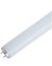 FEI-F40DX FLOURESCENT LAMP 40W