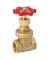GATE VALVE 3/4IPS PRO