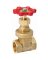 GATE VALVE 1-1/2IPS PRO