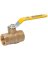 BALL VALVE 3/4IPS