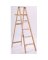 LADDER STEP WD TYPE2 225LB 6FT