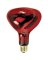 Feit Electric 250R40/10 Incandescent Lamp, 250 W, R40 Lamp, Medium E26 Lamp