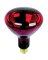 RED HEAT LAMP BULB (250W)