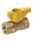 1IN GAS VALVE FIPXFIP
