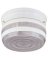 FIXTURE CEIL 1LT PRISMATIC WHT