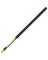 POLE EXTENSION ALUMINUM 3-6FT