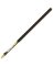 Pole Extension 6-18' Aluminum